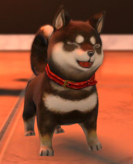 ff14黑豆柴获得方法(图5) ff14黑豆柴获得方法(图5)