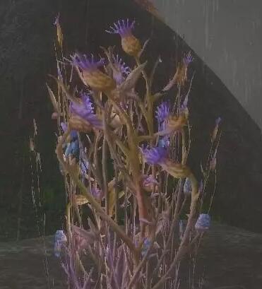 魔兽世界wlk草药1-450快速冲级攻略(图2) 魔兽世界wlk草药1-450快速冲级攻略(图2)