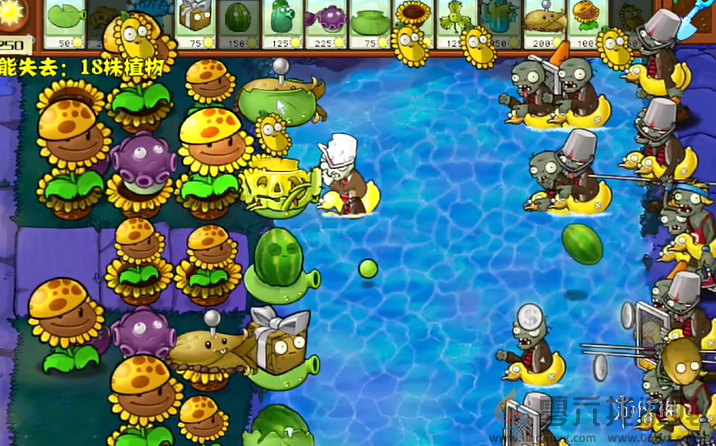 植物大战僵尸杂交版冒险第七十六关怎么过(图4) 植物大战僵尸杂交版冒险第七十六关怎么过(图4)