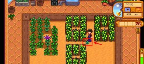 星露谷物语淡啤酒酿造方法(图2)