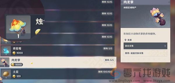 原神肉龙掌在哪(图6) 原神肉龙掌在哪(图6)