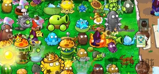 植物大战僵尸杂交版英雄模式抽奖盒子通关攻略(图7) 植物大战僵尸杂交版英雄模式抽奖盒子通关攻略(图7)