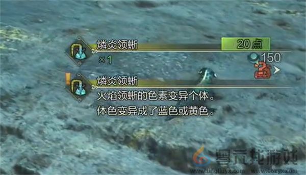 怪物猎人荒野燐炎领蜥具体位置分享(图4) 怪物猎人荒野燐炎领蜥具体位置分享(图4)