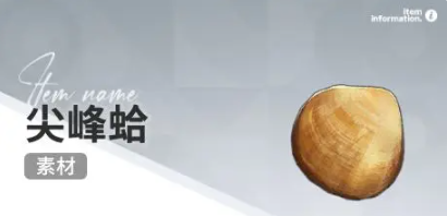 开放空间赶海物什么时候出现(图13)