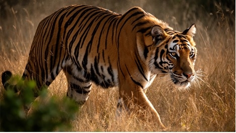 FLUX.2 图像生成模型发布，针对 NVIDIA RTX GPU 优化(图2)